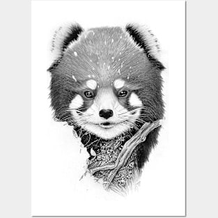 Red Panda Animal Wild Nature Illustration Line Epic Illustration Line Art Posters and Art